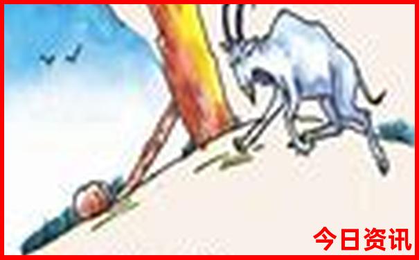 朱家尖旅游攻略路线